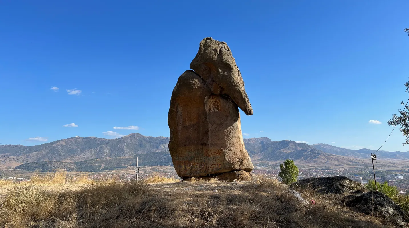 Stenen olifant in de natuur