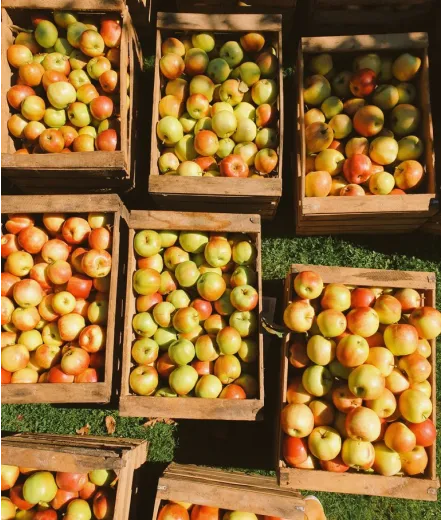 Agro-farm appels